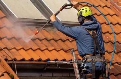 Démoussage et hydrofuge de toiture à Cauneille